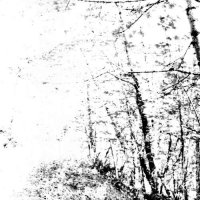 Agalloch - The White (2008)  Lossless
