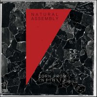 Natural Assembly - Torn From Infinity (2013)