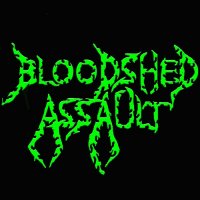 Bloodshed Assault - Demo (2015)
