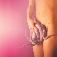 Ant Mill - Double Rod Pendulum (2016)