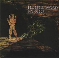 Big Sleep - Bluebell Wood (1971)