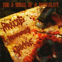 Parricide & Incarnated & Reexamine - The 3 Ways of a Brutality (Split) (2008)