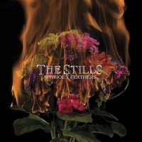 The Stills - Without Feathers (2006)