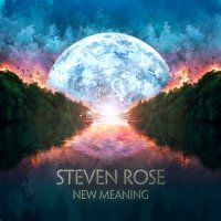 Steven Rose - New Meaning (2012)