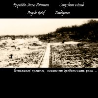 Requisitio Sensus Aeternum & Songs From A Tomb & Angelic Grief & Ambiguous - Вспоминая Прошлое, Начинают Кровоточить Раны... (Split) (2010)