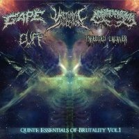 VA - Quinte Essentials of Brutality Vol.1 (Split) (2016)