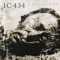 IC 434 - Anhedonia (2011)