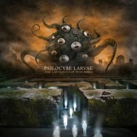 Psilocybe Larvae - The Labyrinth of Penumbra (2012)