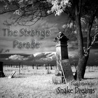 Todd Perkins\' Snake Dreams - The Strange Parade (2017)