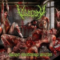 Vulvectomy - Abusing Dismembered Beauties (2013)