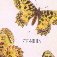 Zerynthia - Zerynthia (2014)