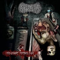 Paediatrician - Pregnant Pathology (2016)