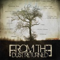 From The Dust Returned - Homecoming (2017)