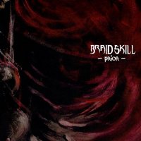 Braid Skill - Prior (2016)