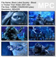 Клип Black Label Society - Blood Is Thicker Than Water (2007)