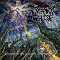 Ripping Flesh - Episodes Of Chaotic Extinction (2015)