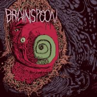 Brainspoon - Crush The Walls Of Illusion (2017)