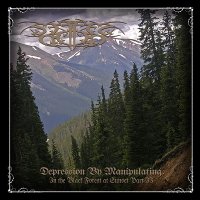 The Descent Of The Sun - Depression By Manipulating (2010)