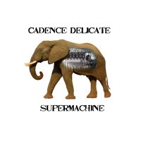 Cadence Delicate - Supermachine (2014)