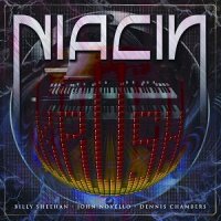 Niacin - Krush (2013)