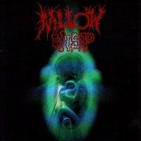 Willow Wisp - The Building Up And Breaking Down Of Matter (1997)