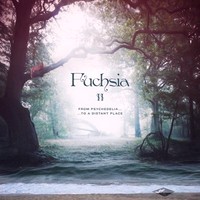 Fuchsia - Fuchsia II (2013)