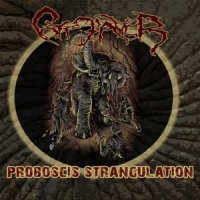 Côte D’Aver - Proboscis Strangulation (2013)