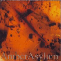 Amber Asylum - Frozen In Amber (1996)