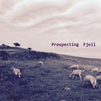 Fjell - Prospecting (2017)