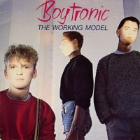 Boytronic - The Working Model (1983)