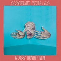 Screaming Females - Rose Mountain (2015)