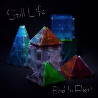 Bird In Flight - Still Life (2017)