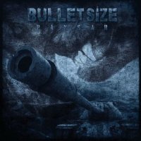 Bulletsize - Pansar (2016)
