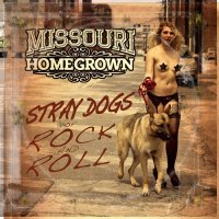 Missouri Homegrown - Stray Dogs Of Rock And Roll (2015)