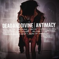 Dead and Divine - Antimacy (2011)