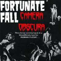 Fortunate Fall - Camera Obscura (2014)