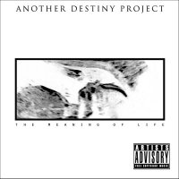 Another Destiny Project - The Meaning Of Life (2013)