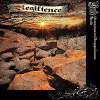 VA - Resilience (2013)