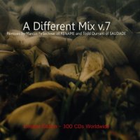 VA - A Different Mix v.7 (2011)