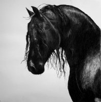 Trvth - Black Horse Plague (2013)