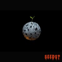 Seeds? - Nothing Matters (2016)