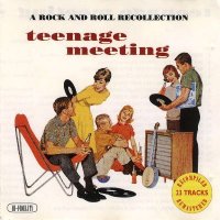VA - Teenage Meeting (1993)