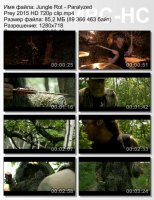 Jungle Rot - Paralyzed Prey HD 720p (2015)