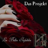 Das Projekt - Les Belles Infedelis (2013)