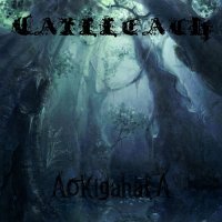 Cailleach - Aokigahara (2013)