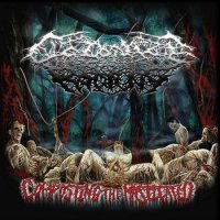 Colonize The Rotting - Composting The Masticated (2010)