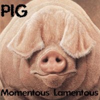 PIG - Momentous Lamentous (2013)