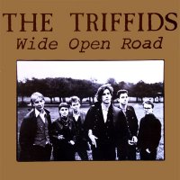 The Triffids - Wide Open Road (1986)