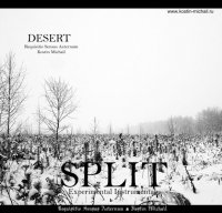 Requisitio Sensus Aeternum & Kostin Michail - Desert (Split) (2010)