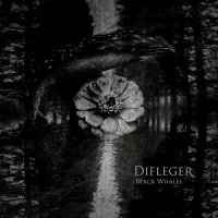 Difleger - Black Whales (2013)